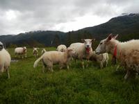 T4 Wer beguckt hier wen - das ist hier die Frage.