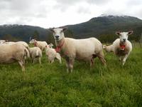 T4 Wer beguckt hier wen - das ist hier die Frage2.