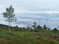 Blick vom Varden auf Molde