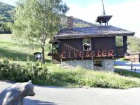 Hotel Elveseter