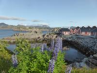 Lofoten - Mortsund