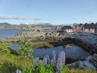 Lofoten - Mortsund