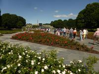 Vigelandpark - Rosengarten