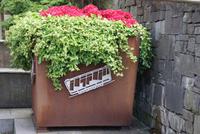 An der Floibahn, Bergen, Norwegen