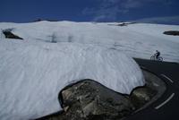 Auf dem Weg zum Dalsnibba, Norwegen