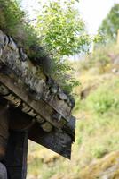 Freilichtmuseum in Trondheim, Norwegen