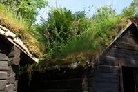 Freilichtmuseum in Alesund, Norwegen