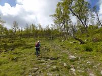 025-Wanderung_Storheija