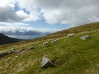 033-Wanderung_Storheija