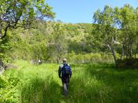 050-Wanderung_Moysalen-NP