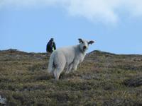 057-Wanderung_Moysalen-NP