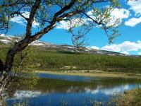 Dovrefjell