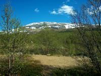 Dovrefjell