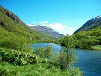 Auf dem Weg nach Trondheim