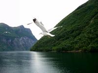 Geirangerfjord