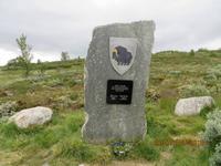 Stele Moschusochse Dovrefjell