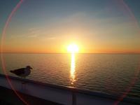 Abendstimmung auf der Fähre