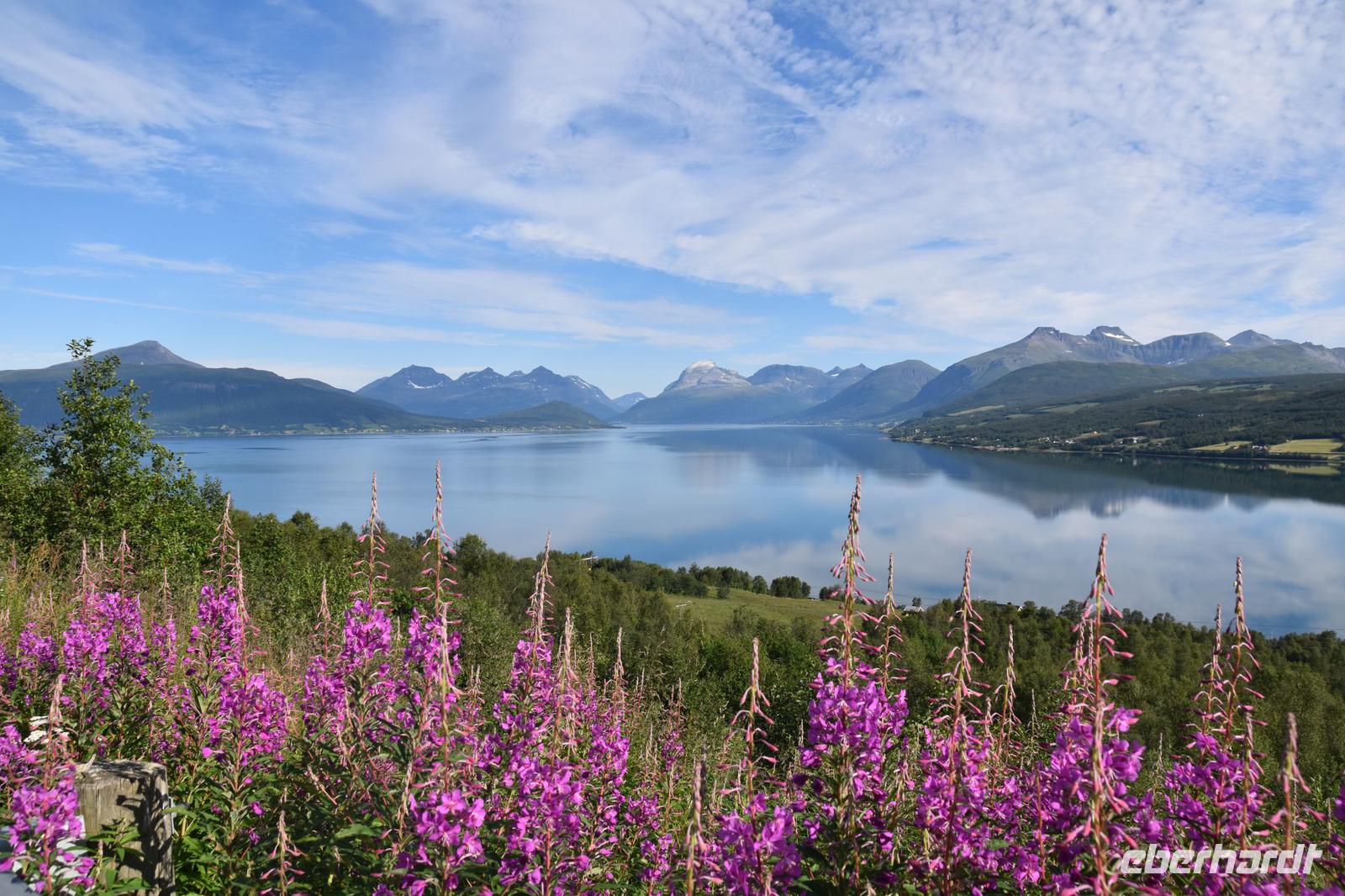 111 Balsfjord