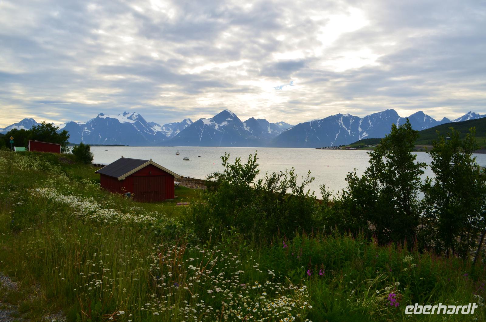 111 Lyngerfjord