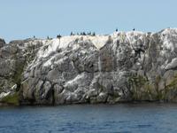 116-Rib-Boat-Safari