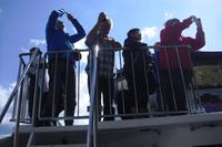 Kreuzfahrt auf dem Lysefjord