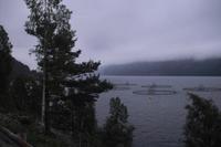 Auf dem Weg nach Eidfjord