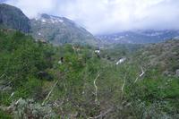Auf dem Weg nach Eidfjord
