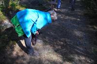 Elchlosung, wo ist der Elch?