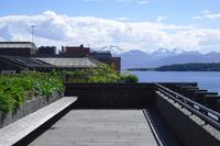Rosengarten in Molde