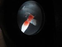 Ausstellung im Polarium