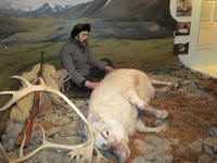 Im Polarmuseum von Tromsö