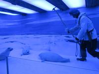 Im Polarmuseum von Tromsö