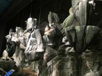 Ausstellungen in der Nordkaphalle