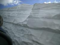 Schneewand aus dem Bus fotografiert