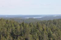 Bärenhöhle bei Inari (Finnland) - Aussichtspunkt Inari-See