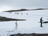Im Sommer auf dem Sognefjell
