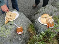 Moltebeerpicknick