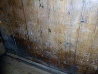 jahrtausendaltes Grafitti