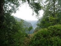 Geirangerfjord, Dalsnibba und Adlerkehren (12)