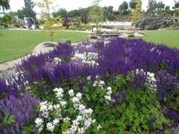 Botanischer Garten Stavanger  (1)