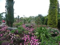 Botanischer Garten Stavanger  (4)