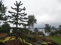 Botanischer Garten Stavanger  (7)