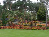 Botanischer Garten Stavanger  (12)