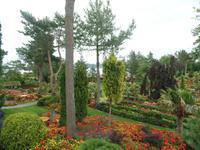 Botanischer Garten Stavanger  (18)