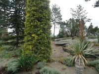 Botanischer Garten Stavanger  (19)