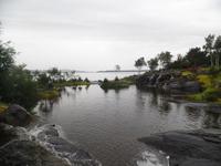 Botanischer Garten Stavanger  (25)