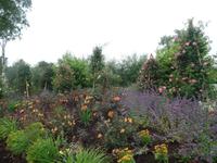 Botanischer Garten Stavanger  (26)