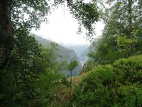 Geirangerfjord, Dalsnibba und Adlerkehren (11)