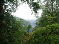 Geirangerfjord, Dalsnibba und Adlerkehren (12)