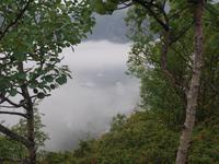 Geirangerfjord, Dalsnibba und Adlerkehren (17)